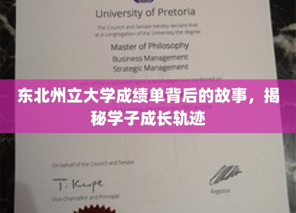 东北州立大学成绩单，学子成长轨迹的隐藏篇章
