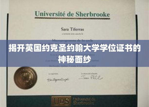 揭秘约克圣约翰大学学位证书背后的传奇故事