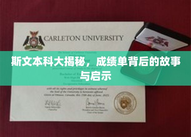 斯文本科大揭秘，成绩单背后的故事与启示