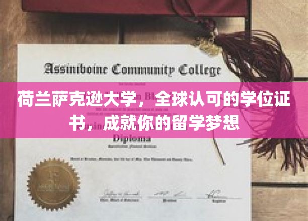 解锁全球精英之路，荷兰萨克逊大学，梦想学位成就非凡人生