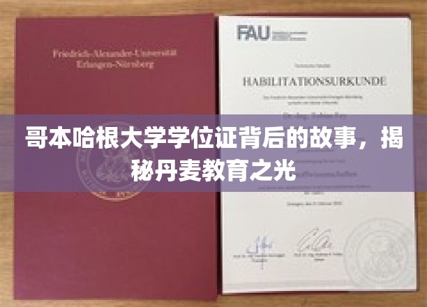 哥本哈根大学学位证背后的故事，揭秘丹麦教育之光