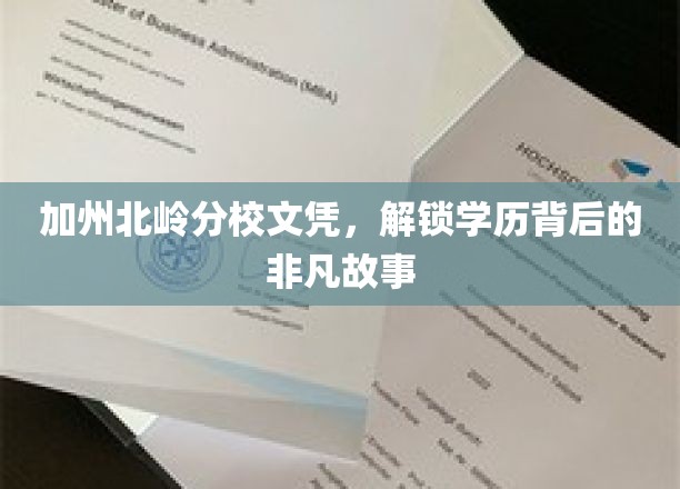 加州北岭分校文凭，揭示学历背后的不凡历程