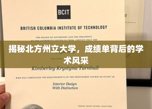 解码北方州立大学，成绩单映照下的学术荣耀之光