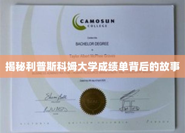 揭开利普斯科姆大学成绩单的神秘面纱