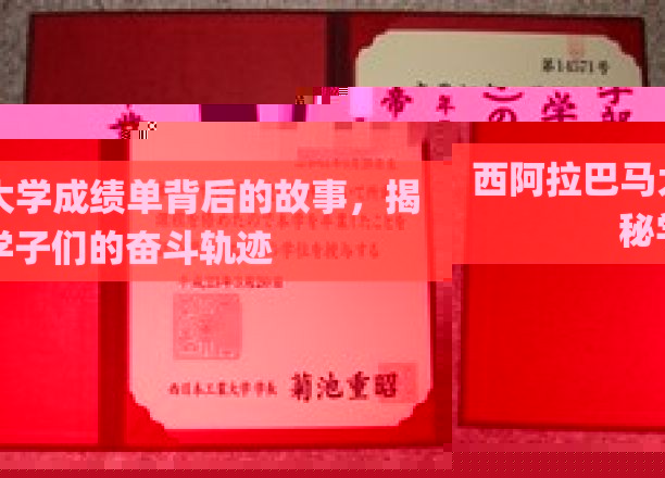 西阿拉巴马大学成绩单背后，学子奋斗轨迹的写实画卷