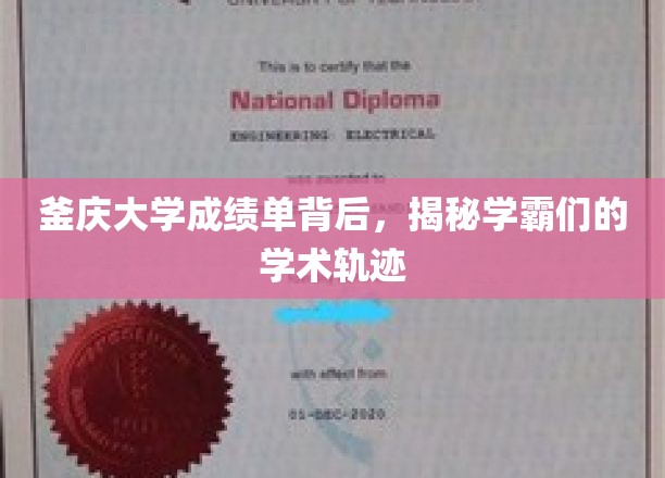 釜庆大学成绩单背后，探寻学霸们的学术足迹
