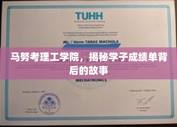 揭开马努考理工学院学子成绩单背后的精彩篇章