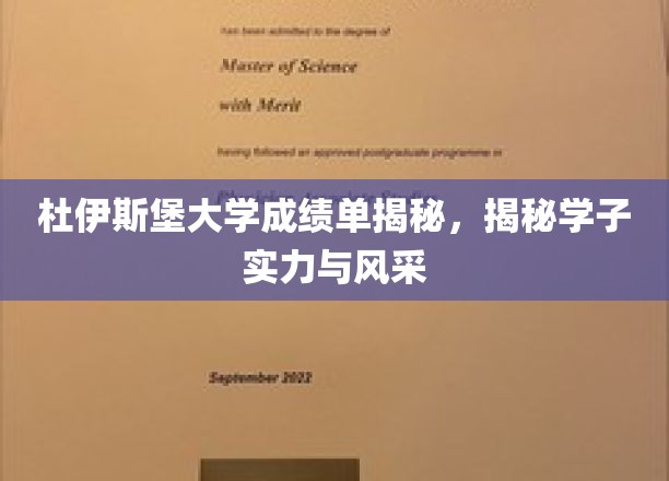 杜伊斯堡大学成绩单揭秘：学子实力与风采的展现