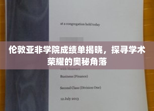 伦敦亚非学院成绩单揭秘，一窥学术荣耀的神秘领域