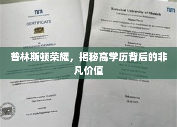 普林斯顿荣耀，揭秘高学历背后的非凡价值