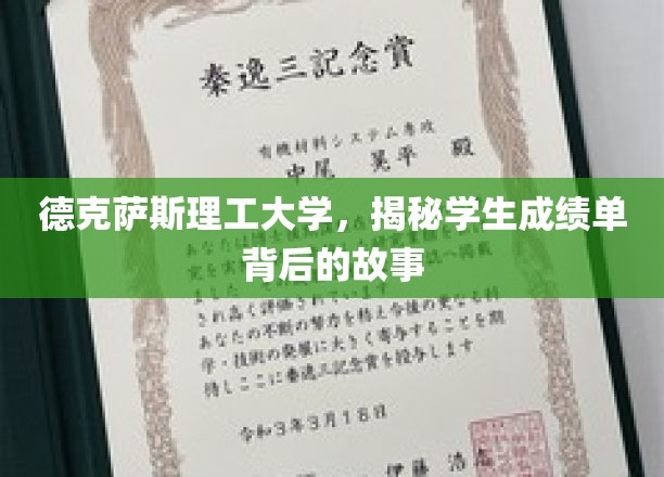 解码德克萨斯理工大学，成绩单背后的真实面貌