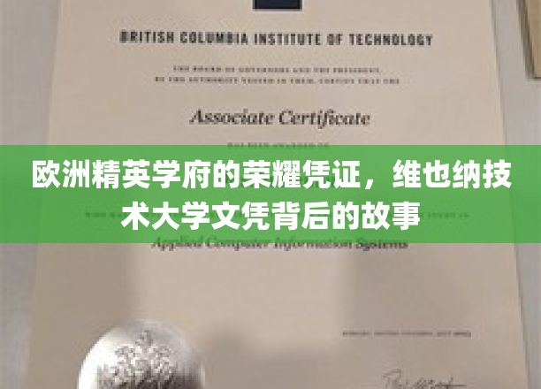解码维也纳技术大学，精英学府的辉煌文凭探寻记