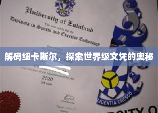 解锁纽卡斯尔，揭秘顶级学历的神秘面纱
