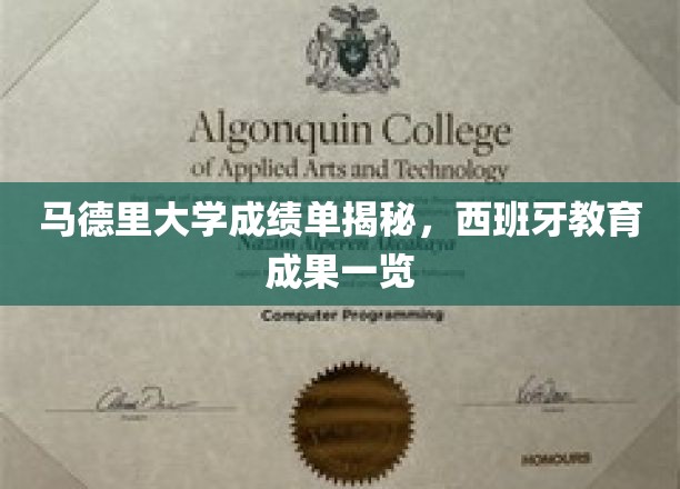 探秘马德里大学，西班牙教育精英成就揭秘