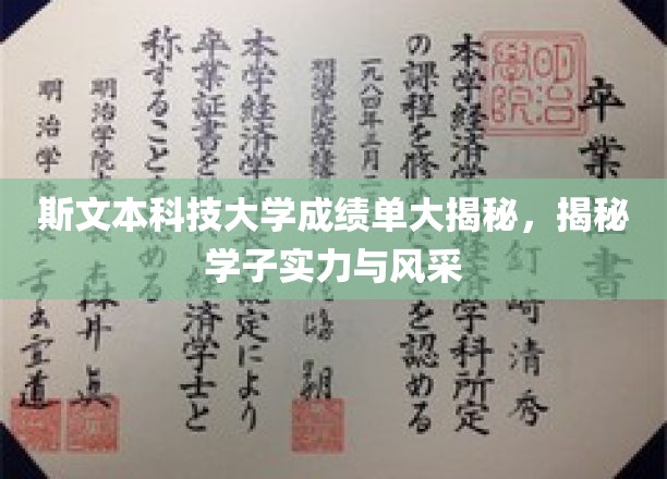 斯文本科技大学成绩单大揭秘，揭秘学子实力与风采