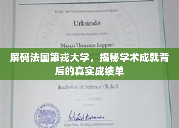 解码法国第戎大学，揭秘学术成就背后的真实成绩单