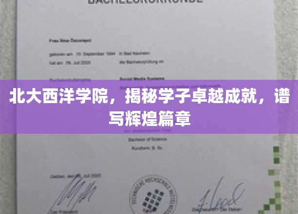 北大西洋学院风采录，学子卓越成就，共绘辉煌篇章
