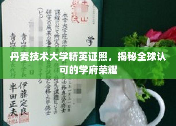 丹麦技术大学精英证照，闪耀国际认可的学术光环