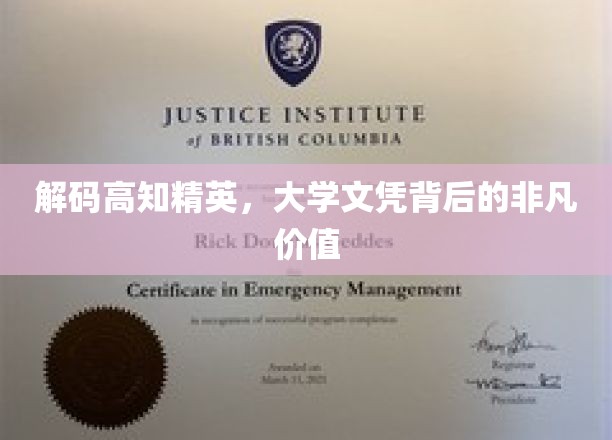 解码高知精英，大学文凭背后的非凡价值