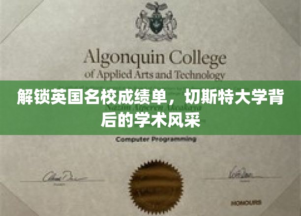 揭秘英国名校成绩单，探寻切斯特大学独特的学术魅力