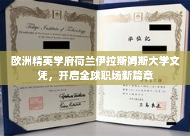 欧洲精英学府荷兰伊拉斯姆斯大学文凭，开启全球职场新篇章