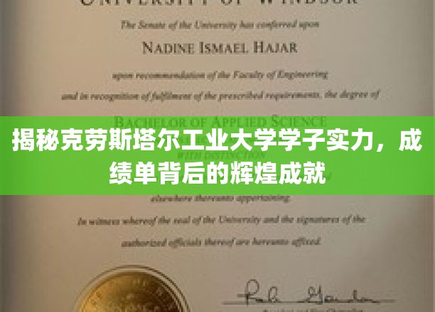 克劳斯塔尔工业大学精英风采，揭秘学子实力与卓越成就背后的故事