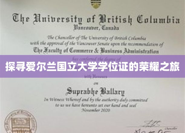 解锁爱尔兰国立大学学位证的璀璨足迹