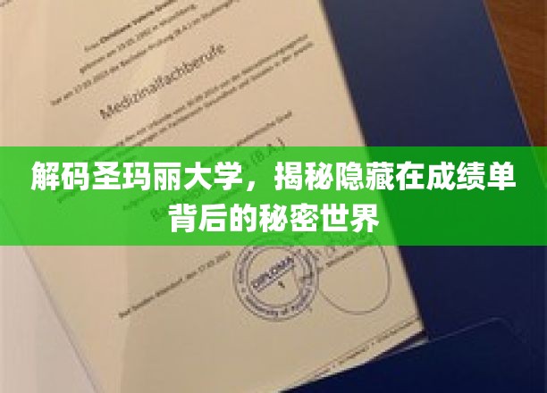 解码圣玛丽大学，揭秘隐藏在成绩单背后的秘密世界
