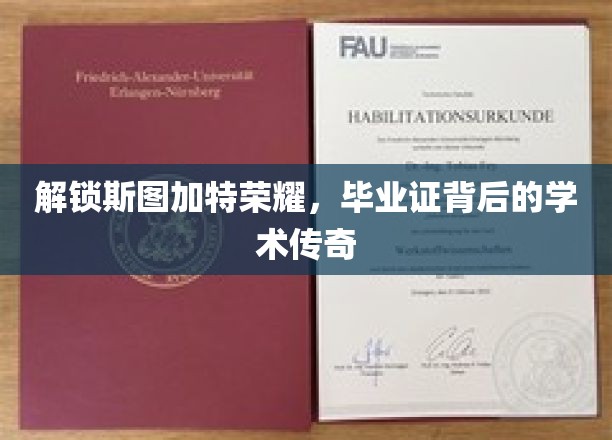 斯图加特精英之路，毕业证书里的学术传奇揭秘