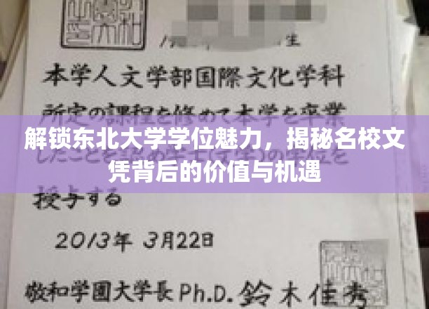 东北名校之光，探索东北大学学位的潜在价值与无限机遇
