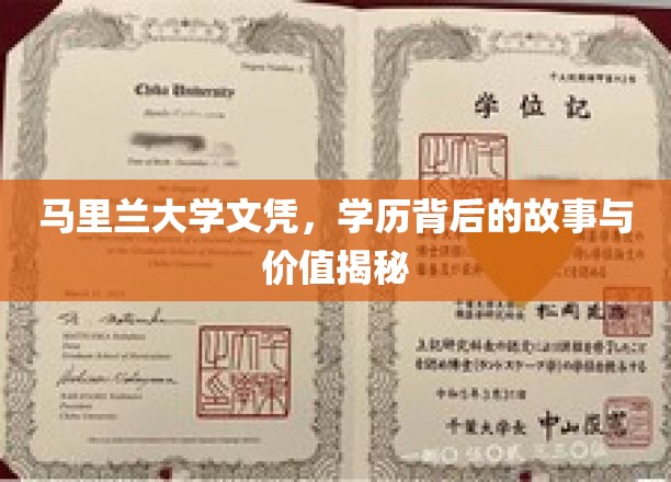 马里兰大学文凭，学历背后的故事与价值揭秘