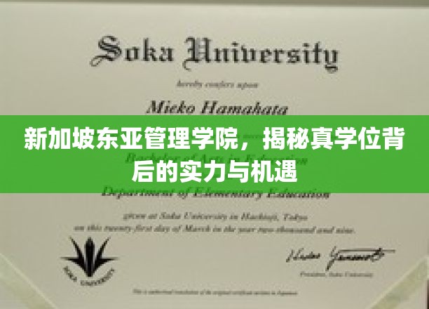 新加坡东亚管理学院，揭秘真学位背后的实力与机遇