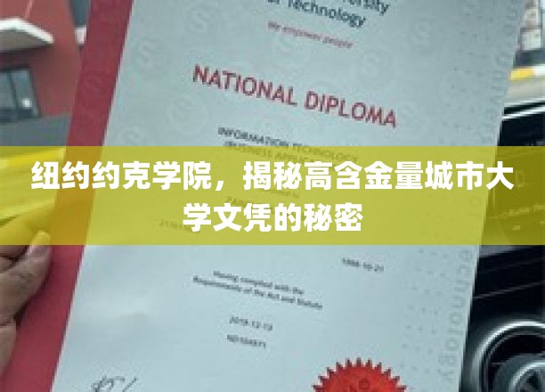 纽约约克学院，揭秘高含金量城市大学文凭的秘密