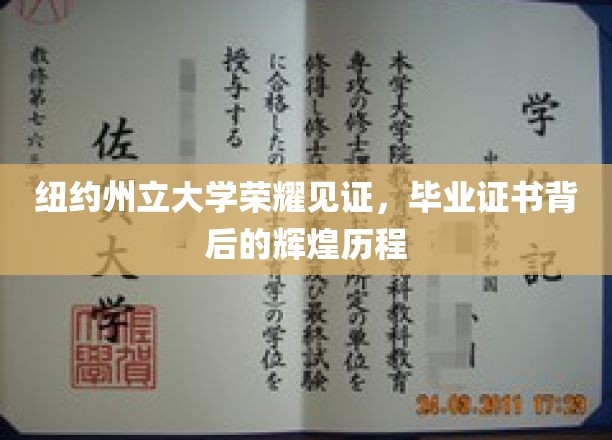 纽约州立辉煌启航，揭秘毕业证书背后的传奇故事