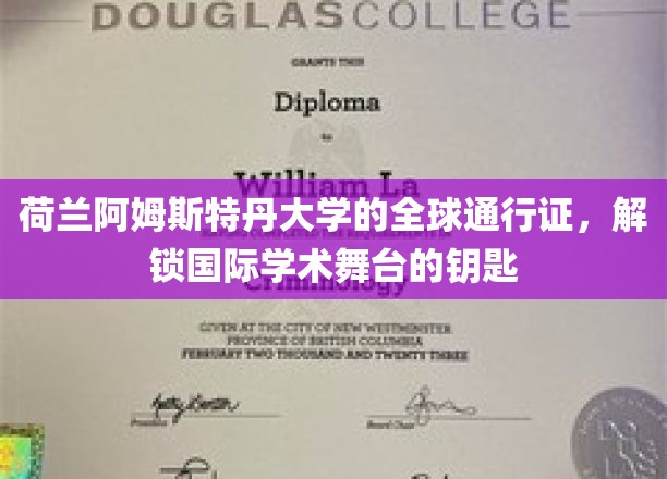 阿姆斯特丹大学通行全球，开启学术界的国际之门