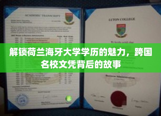 荷兰海牙大学学历大揭秘，跨国名校背后的不为人知传奇