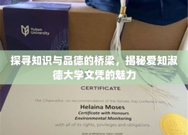 探索知识与品德的桥梁，揭秘爱知淑德大学文凭的魅力