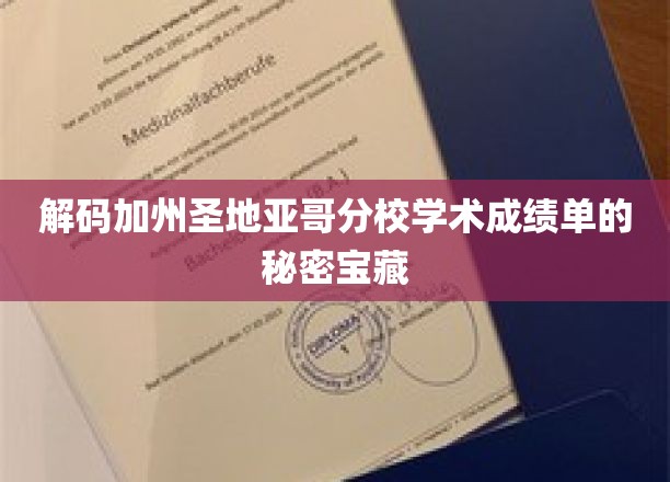 探寻加州圣地亚哥分校成绩单背后的学术奥秘