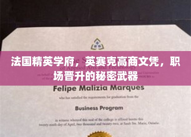 驾驭精英之路，英赛克高商文凭，解锁职场飞速晋升的密钥