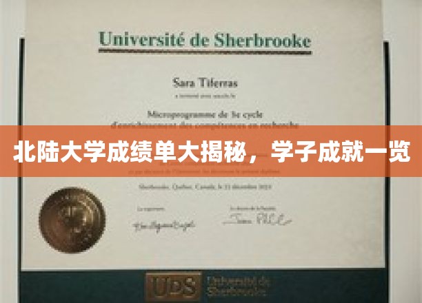 北陆大学成绩单大揭秘，学子成就尽收眼底