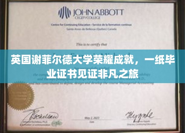 英国谢菲尔德大学荣耀成就，一纸毕业证书见证非凡之旅