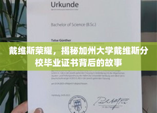 加州戴维斯荣耀揭秘，毕业证书背后的传奇故事