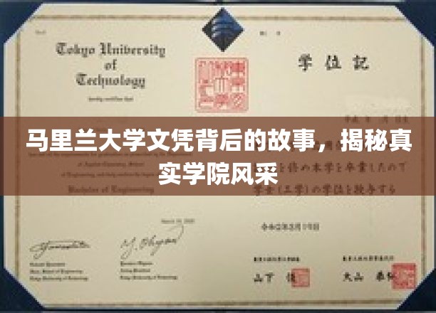 探寻马里兰大学文凭背后的传奇，一窥学院的璀璨魅力