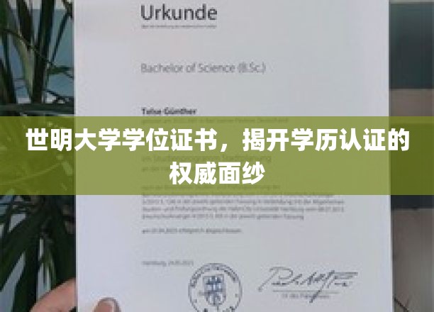 探寻学历认证的神秘面纱，世明大学学位证书揭秘权威之路