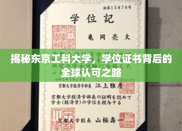 揭开东京工科大学学位证书背后的全球认可之路