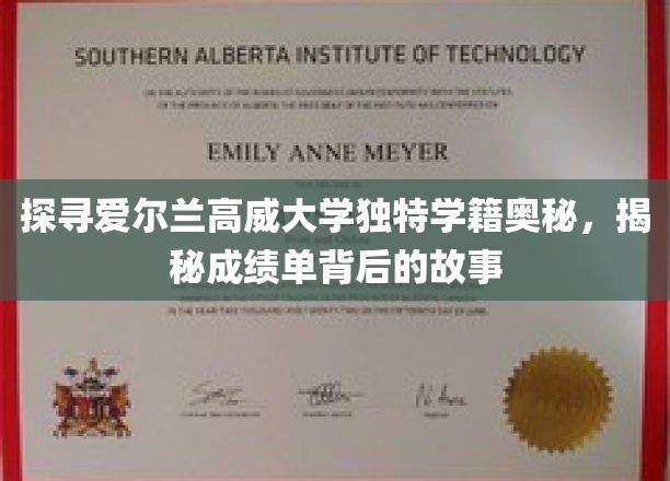 探寻爱尔兰高威大学独特学籍奥秘，揭秘成绩单背后的故事