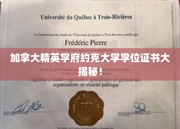 探索加拿大约克大学学位证书背后的非凡故事