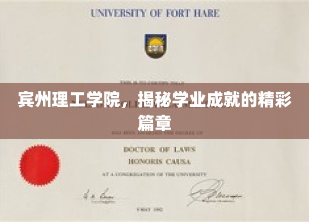 宾州理工学院，揭秘学业成就的精彩篇章