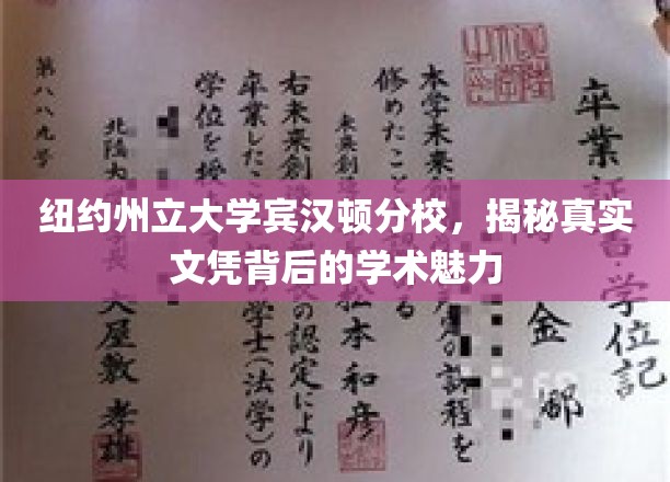 解码纽约州立大学宾汉顿分校，文凭背后的学术盛宴