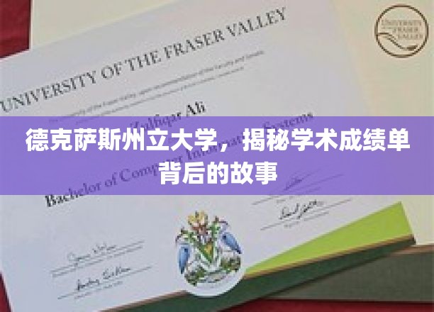 解码德克萨斯州立大学，成绩单背后的独特篇章